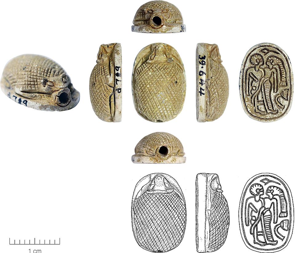 Igelskaraboid aus gebranntem Steatit, 16.0 mm (L) × 11.0 mm (W) × 6.0 mm (H); Megiddo, Grab 5259 (= Stratum XII, Mittelbronzezeit II, Mitte 19. bis Ende  18. Jh. v.u.Z.)