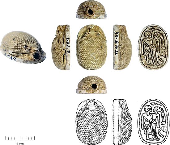 Igelskaraboid aus gebranntem Steatit, 16.0 mm (L) × 11.0 mm (W) × 6.0 mm (H); Megiddo, Grab 5259 (= Stratum XII, Mittelbronzezeit II, Mitte 19. bis Ende 18. Jh. v.u.Z.)