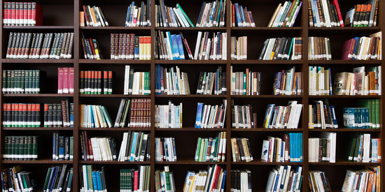 Publikationen: Bild Bücher