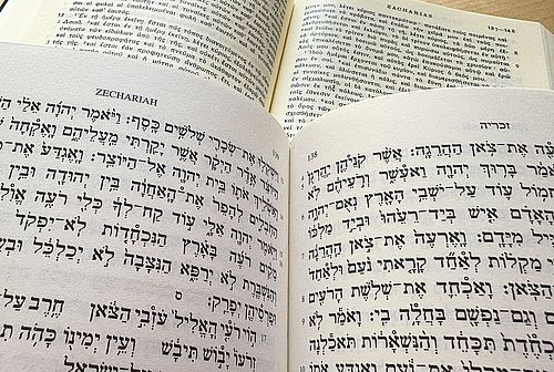 Sach 11 in BHS und LXX