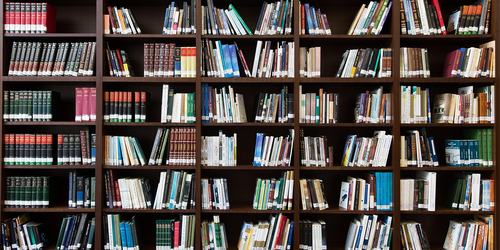 Publikationen_Bücherwand:Bild