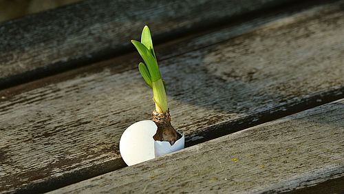 Aussereuropäisches Christentum