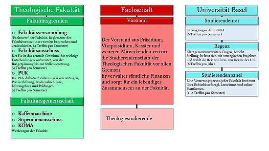 Organigramm