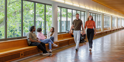 Studium: Bld Kachel