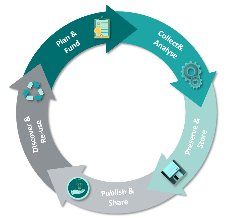 RDM Cycle